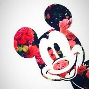 Meet your Posher, Joy